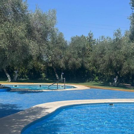 Apartamento A 8Km Sevilla Centro Valencina de la Concepción Екстериор снимка