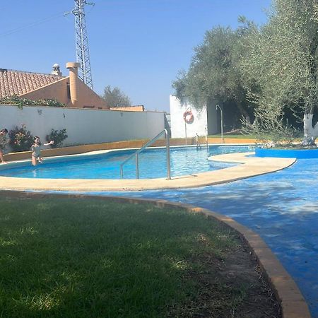 Apartamento A 8Km Sevilla Centro Valencina de la Concepción Екстериор снимка