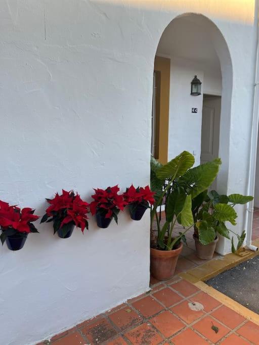 Apartamento A 8Km Sevilla Centro Valencina de la Concepción Екстериор снимка